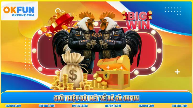 Giới thiệu đôi nét về đá gà OKFUN